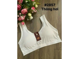ÁO LÁ THÔNG HƠI 2857 - MÀU TRẮNG ÁO LÁ THÔNG HƠI 2857 - MÀU TRẮNG